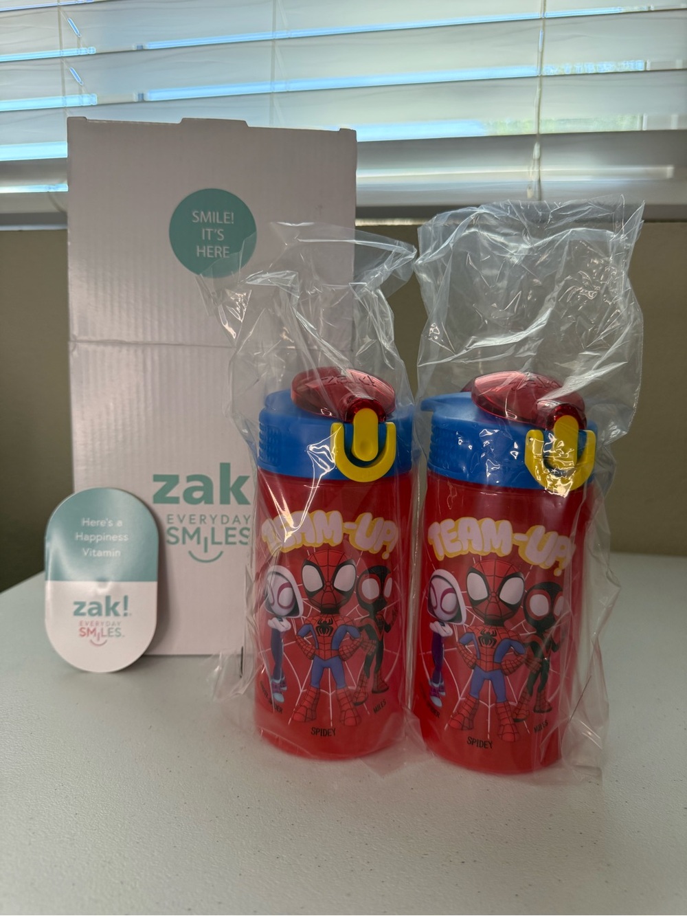 Set of 2 Zack Designs Kids Spiderman 16oz Plastic Water Bottles with Straws